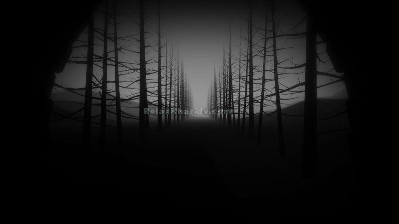 Повія Харкова : Алн - фото 1