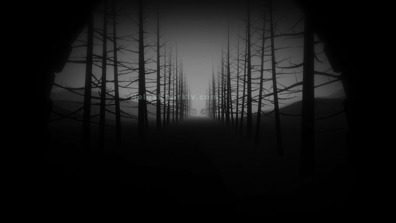 Повія Харкова : Алн - фото 2