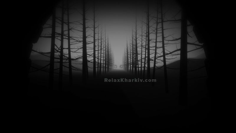 Повія Харкова : Алн - фото 3